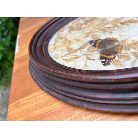 Vintage pressed butterfly and flower simple oval wood frame bubble glass - Picture 16 of 16
